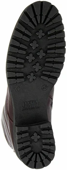 Женские фиолетовые ботинки Janita (Натуральный мех)