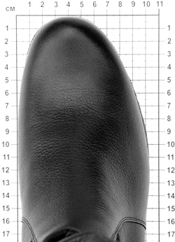 Женские коричневые полусапоги Janita (Натуральный мех)