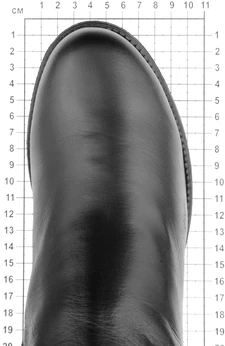 Женские черные сапоги Francesco Donni (Натуральный мех)