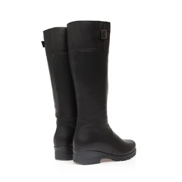 Женские черные сапоги Janita (Натуральный мех)