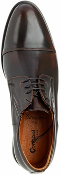 Мужские коричневые туфли Conhpol