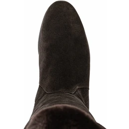 Женские коричневые ботфорты Janita (Натуральный мех)