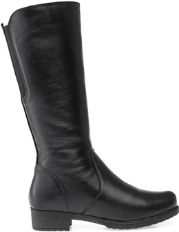 Женские черные сапоги Francesco Donni (Натуральный мех)