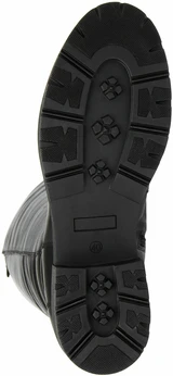 Женские черные сапоги Janita (Натуральный мех)